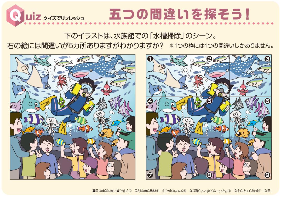 Quizでリフレッシュ