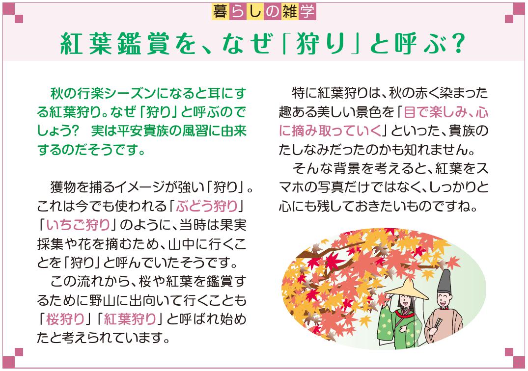 暮らしの雑学