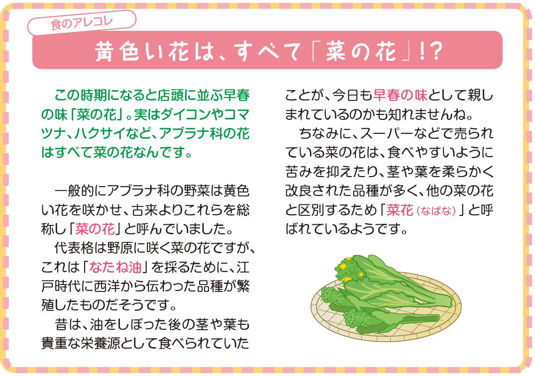 食のアレコレ　２月号